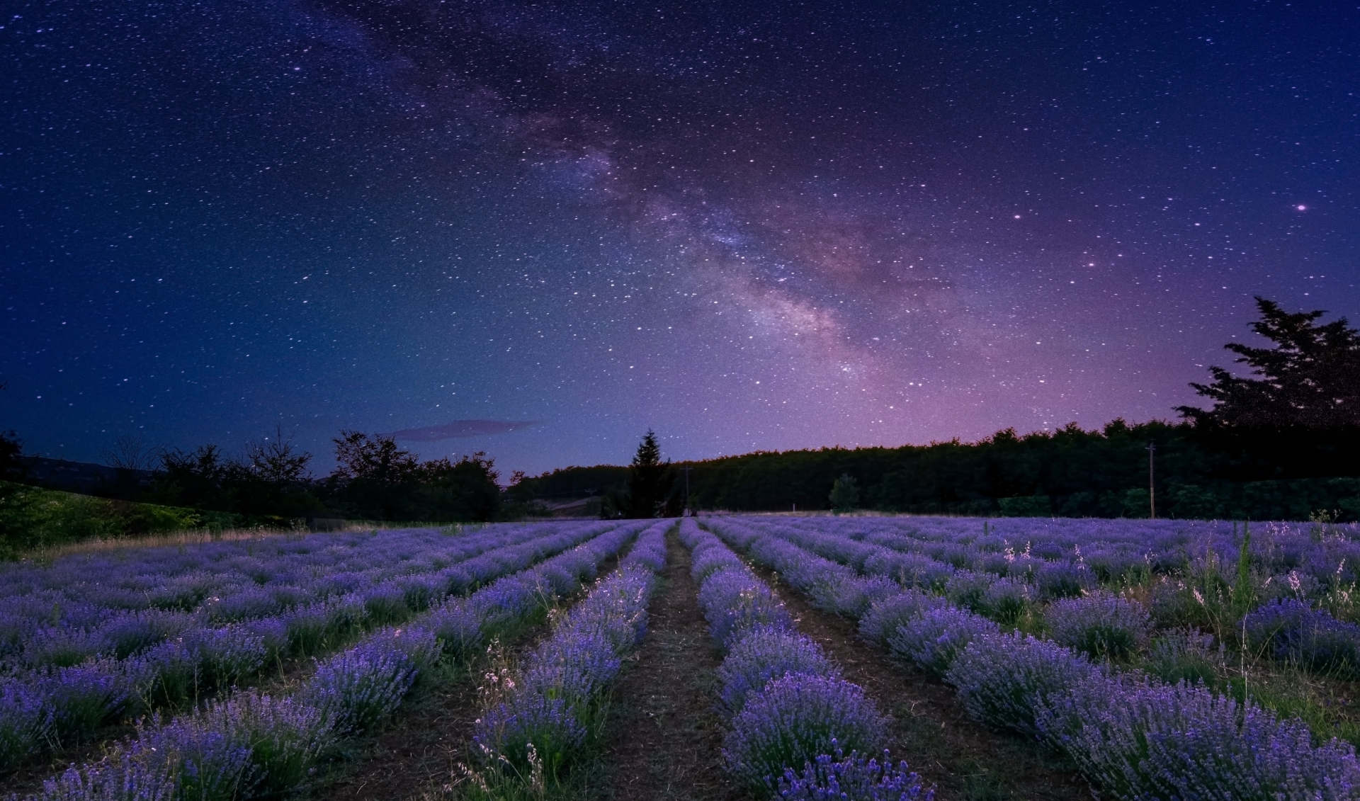 Photograph of the Milky Way arching over a dark night sky.